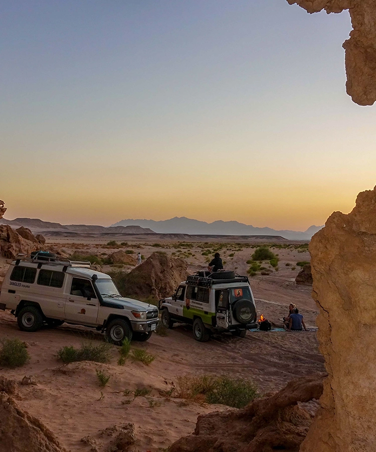 El Gouna Mountain Goats