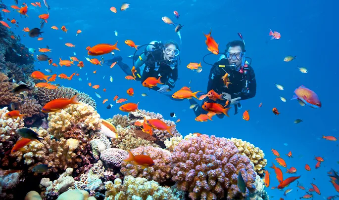 Two scuba divers exploring a colourful coral reef surrounded by tropical fish