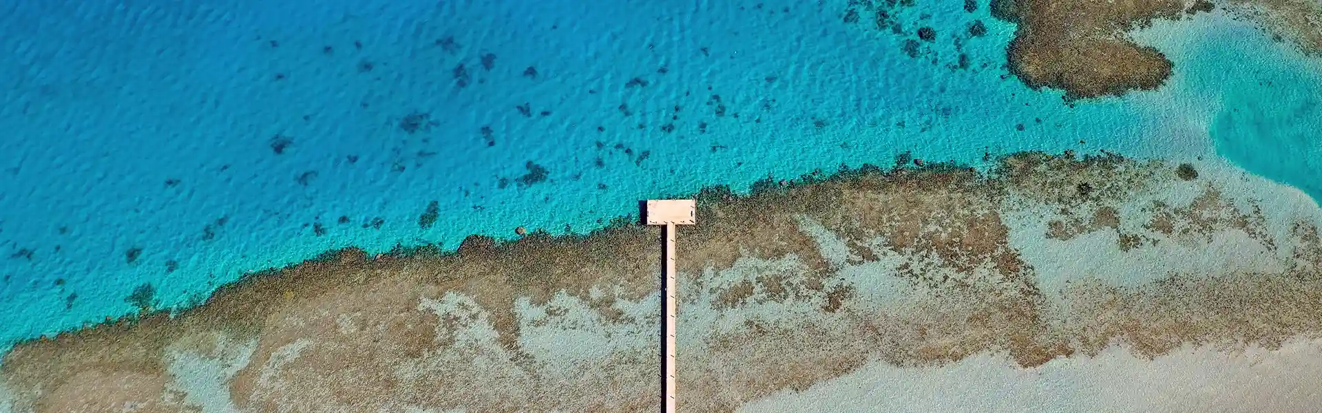 The Destination