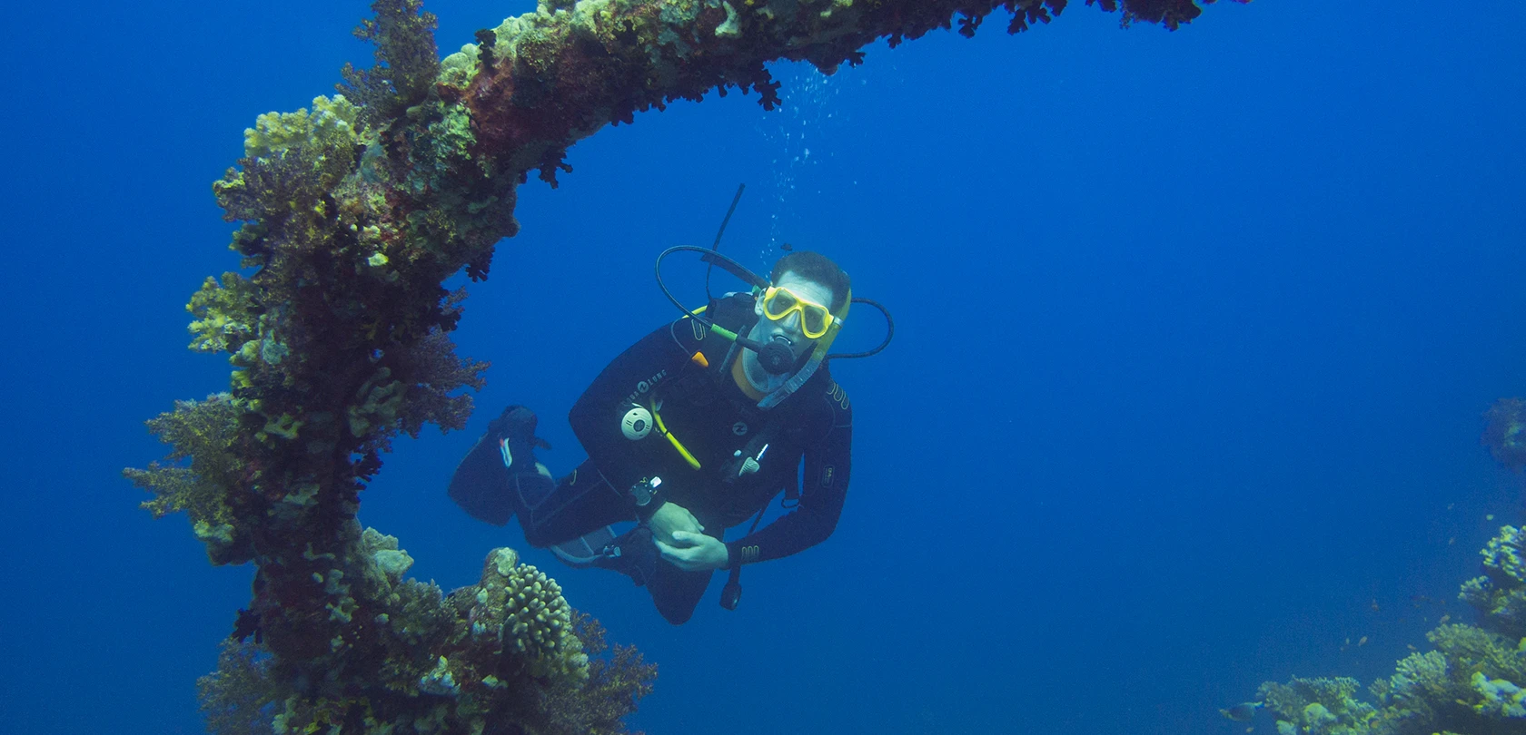 ORCA-Werbung -20 gallery 3